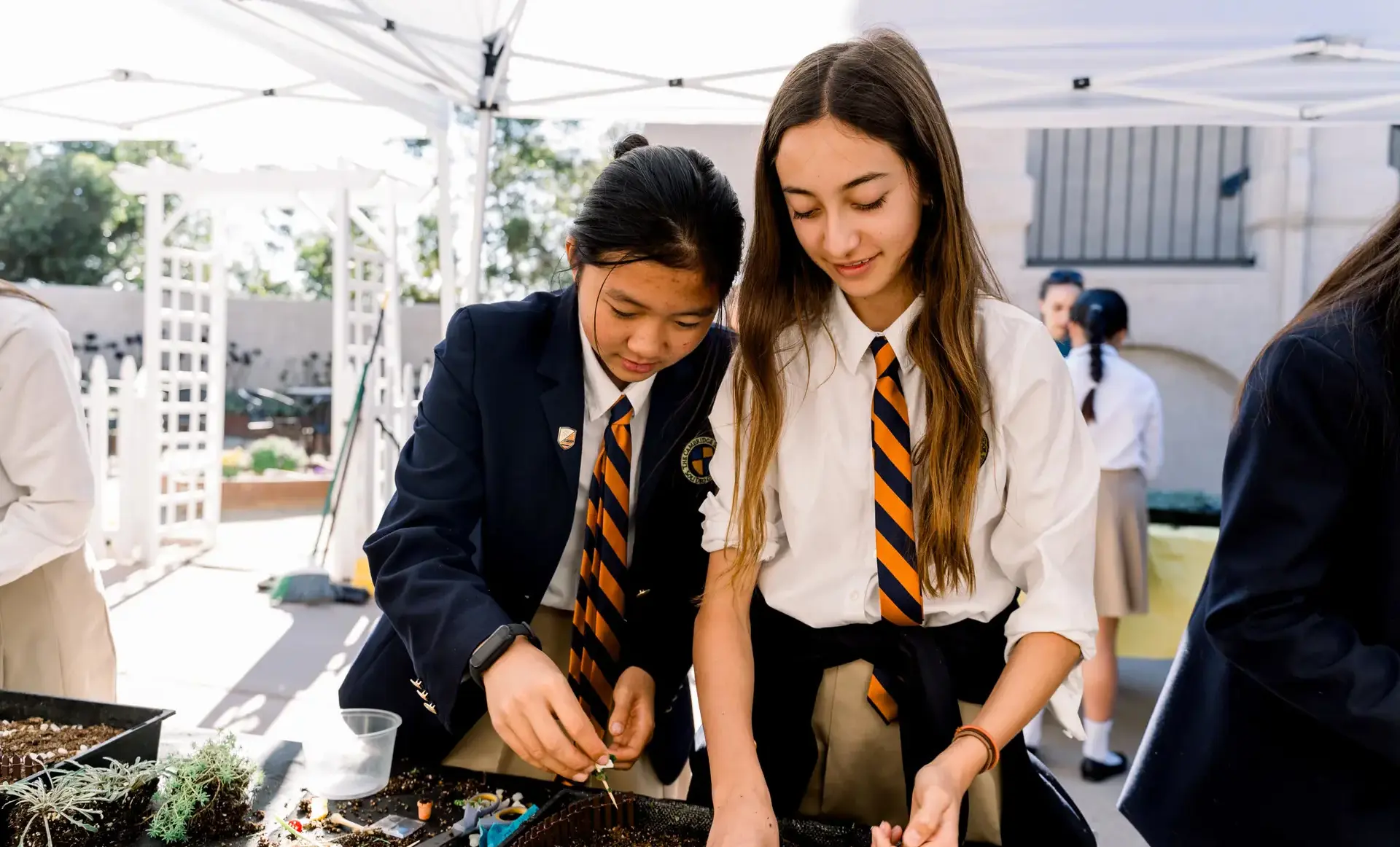 Students examining plants