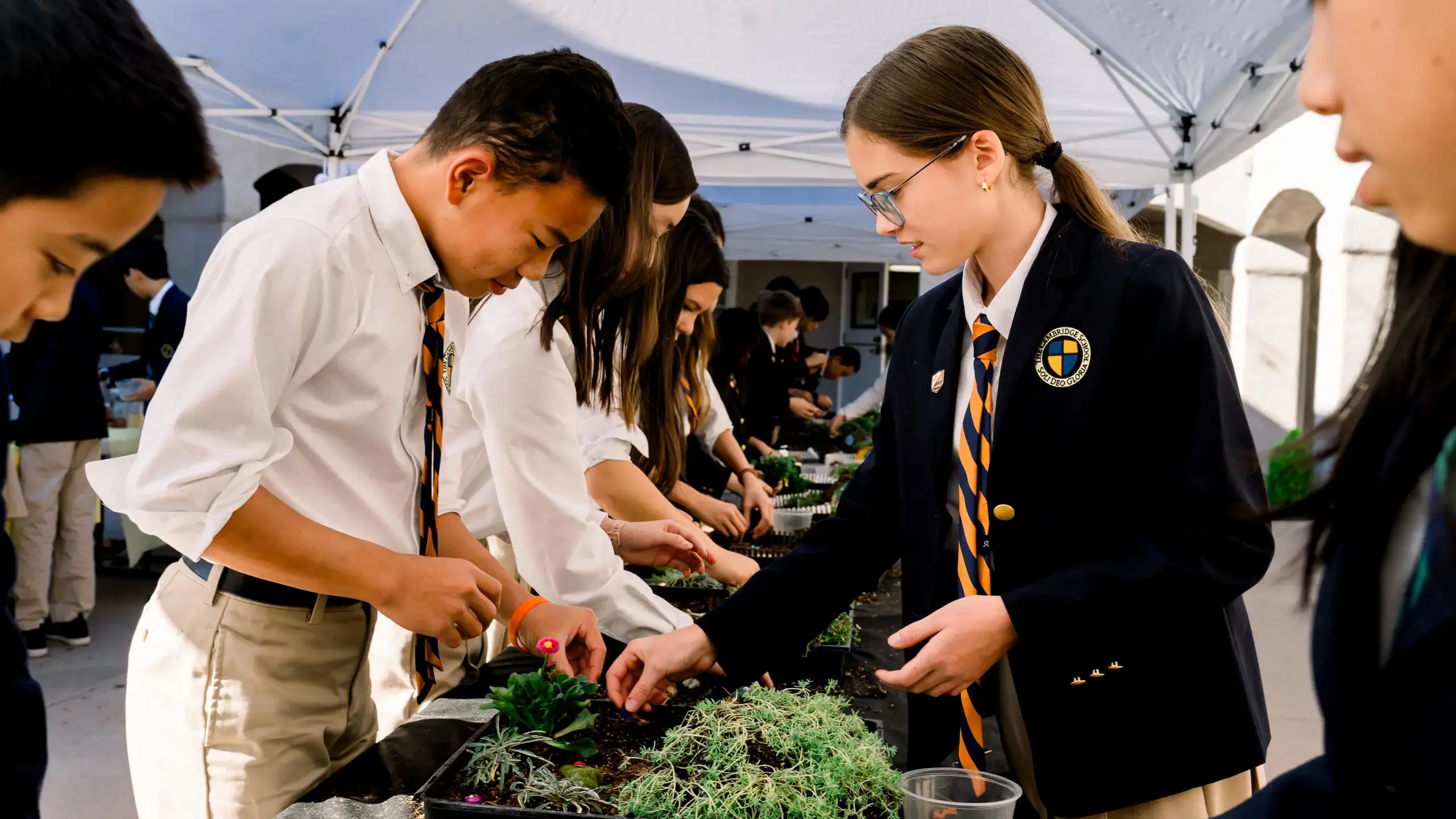 Alt text Cambridge School Logic students in uniform collaboratively plant succulents during an outdoor activity, demonstrating thoughtful engagement and applied learning across disciplines.