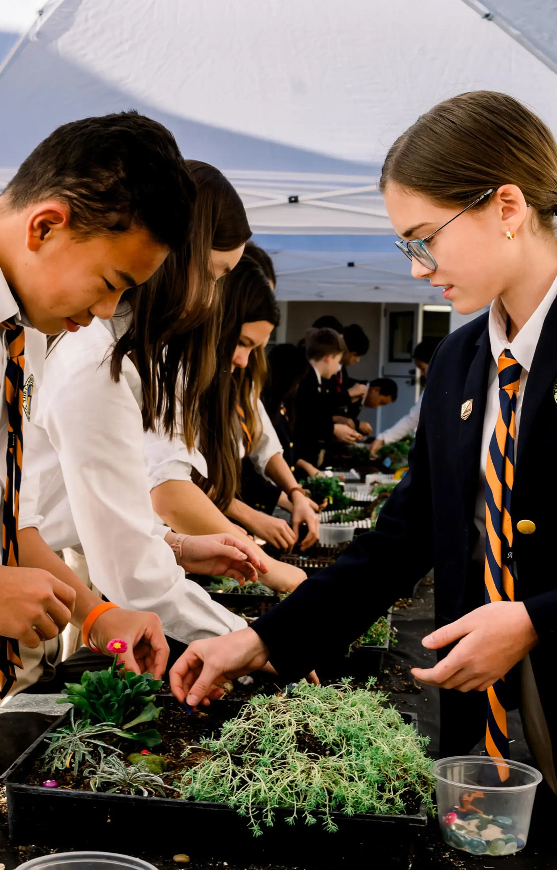 Middle school students at The Cambridge School, a private Christian school in San Diego, build Hobbit houses while integrating science and literature through a hands-on classical education experience.