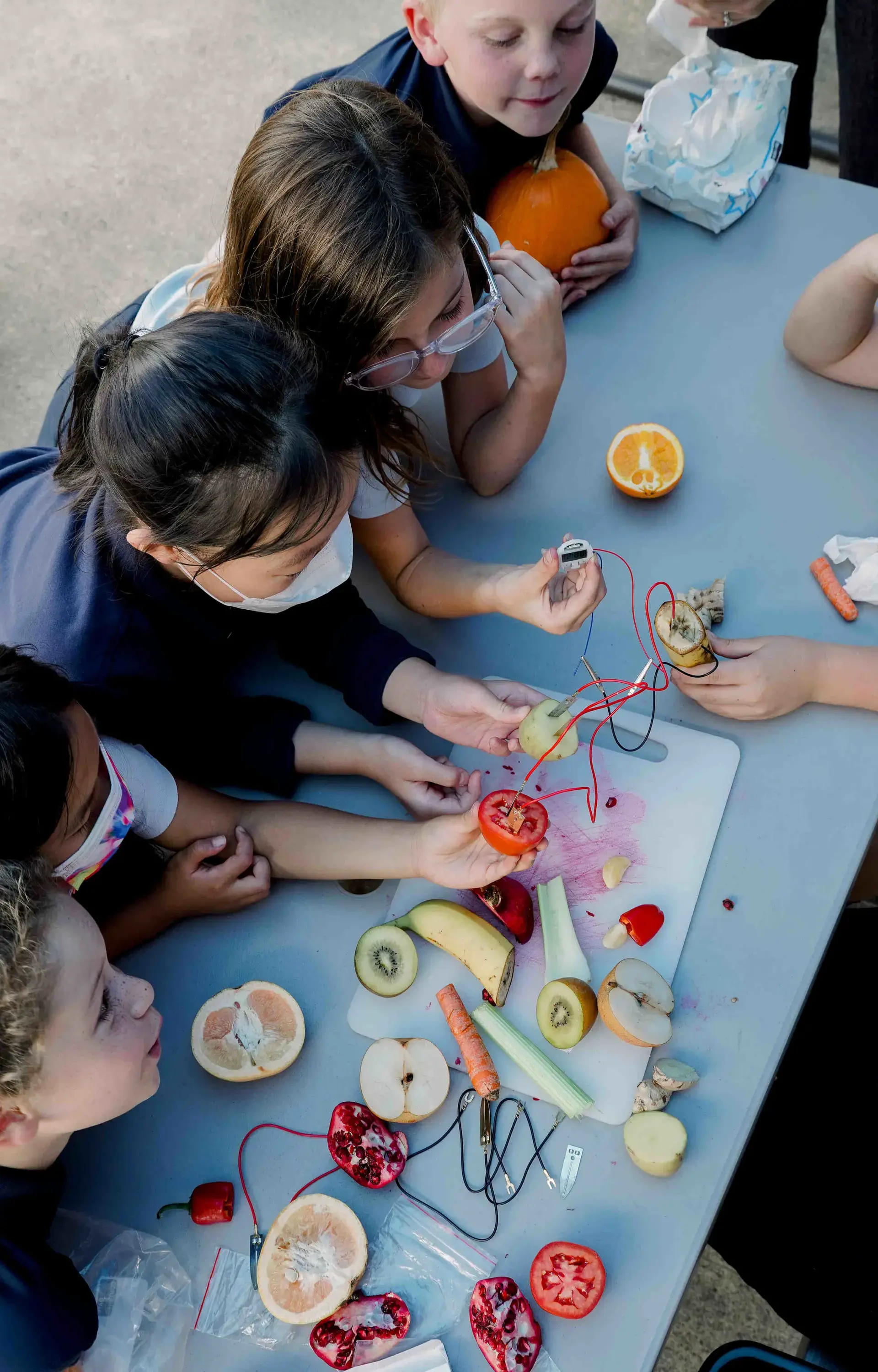 Bird's eye view of students sitting at long table and crafting with fruit.