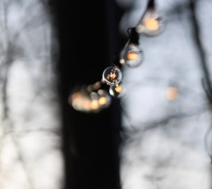 lights
